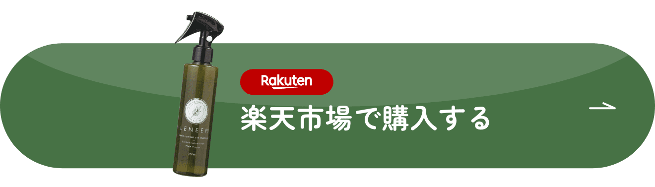 楽天市場で購入する