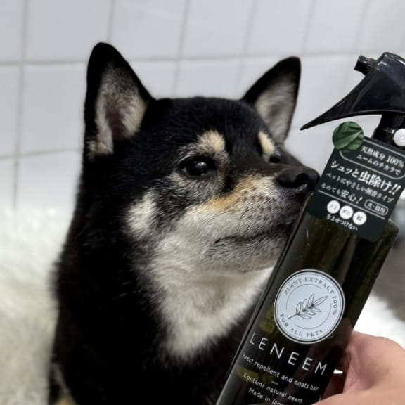 LENEEMスプレー使用例2