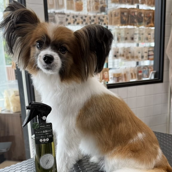 LENEEMスプレー使用例4