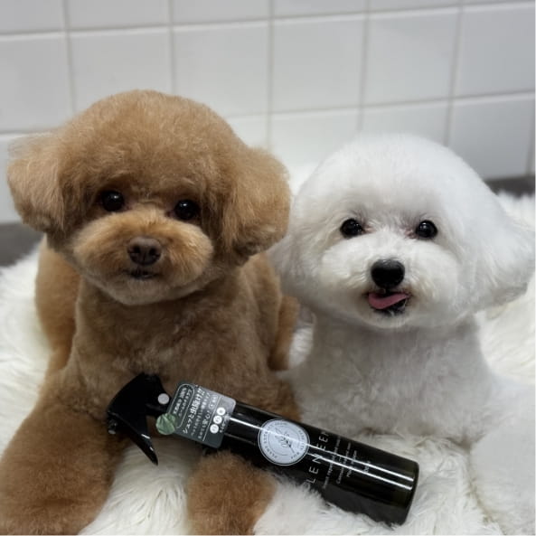 LENEEMスプレー使用例5