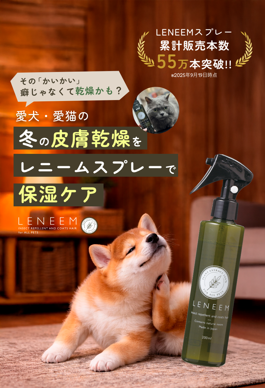 冬の皮膚乾燥をレニームスプレーで保湿ケア