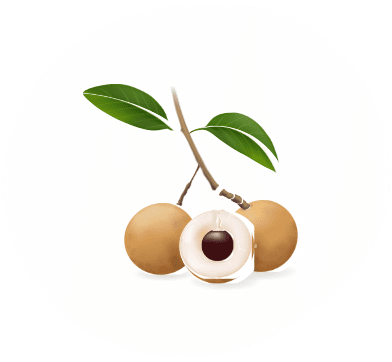 ムクロジエキス