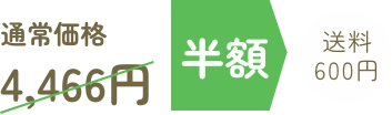 送料無料