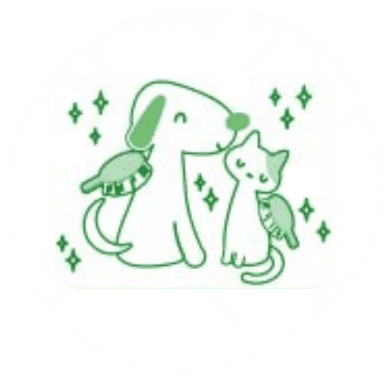 ブラッシング前のケア